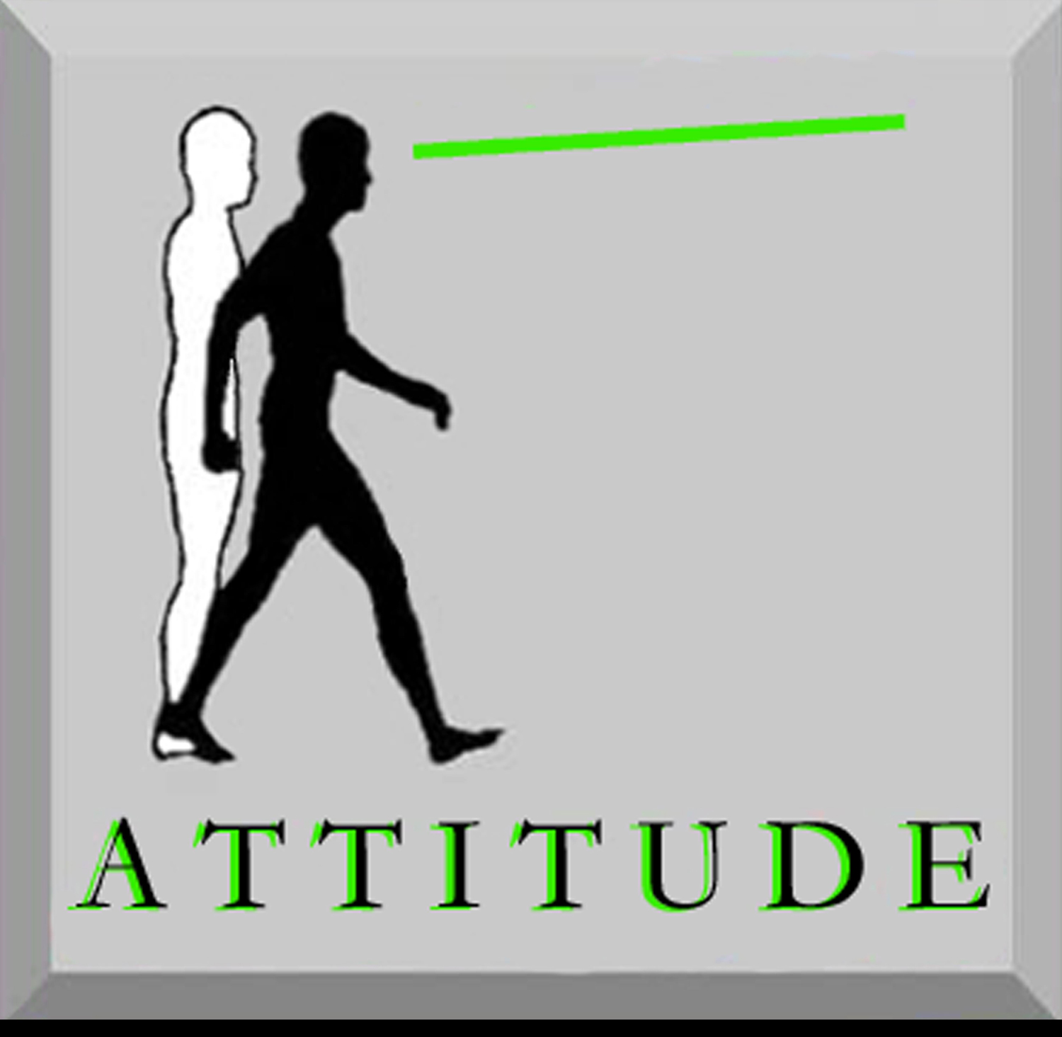 Attitude